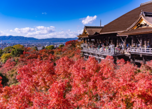  Kyoto mùa thu lá đỏ